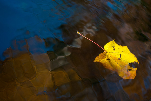 On the Lake | Birchwood, WI
