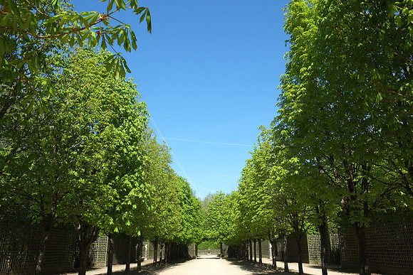 Versailles Gardens II | Versailles, France