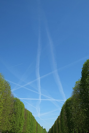 Versailles Gardens I | Versailles, France