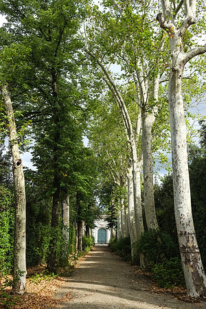 The Boboli Gardens | Florence, Italy