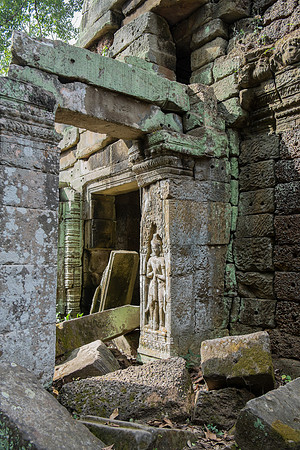 Through the Ruins | Angkor Wat, Cambodia